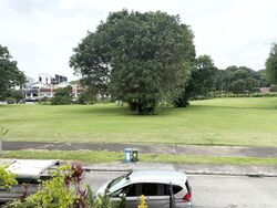 Transit Road (D26), Semi-Detached #503928421